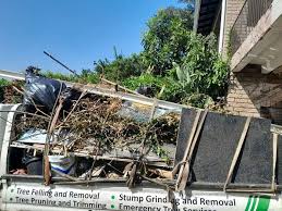 Best Commercial Junk Removal  in Wadesboro, NC